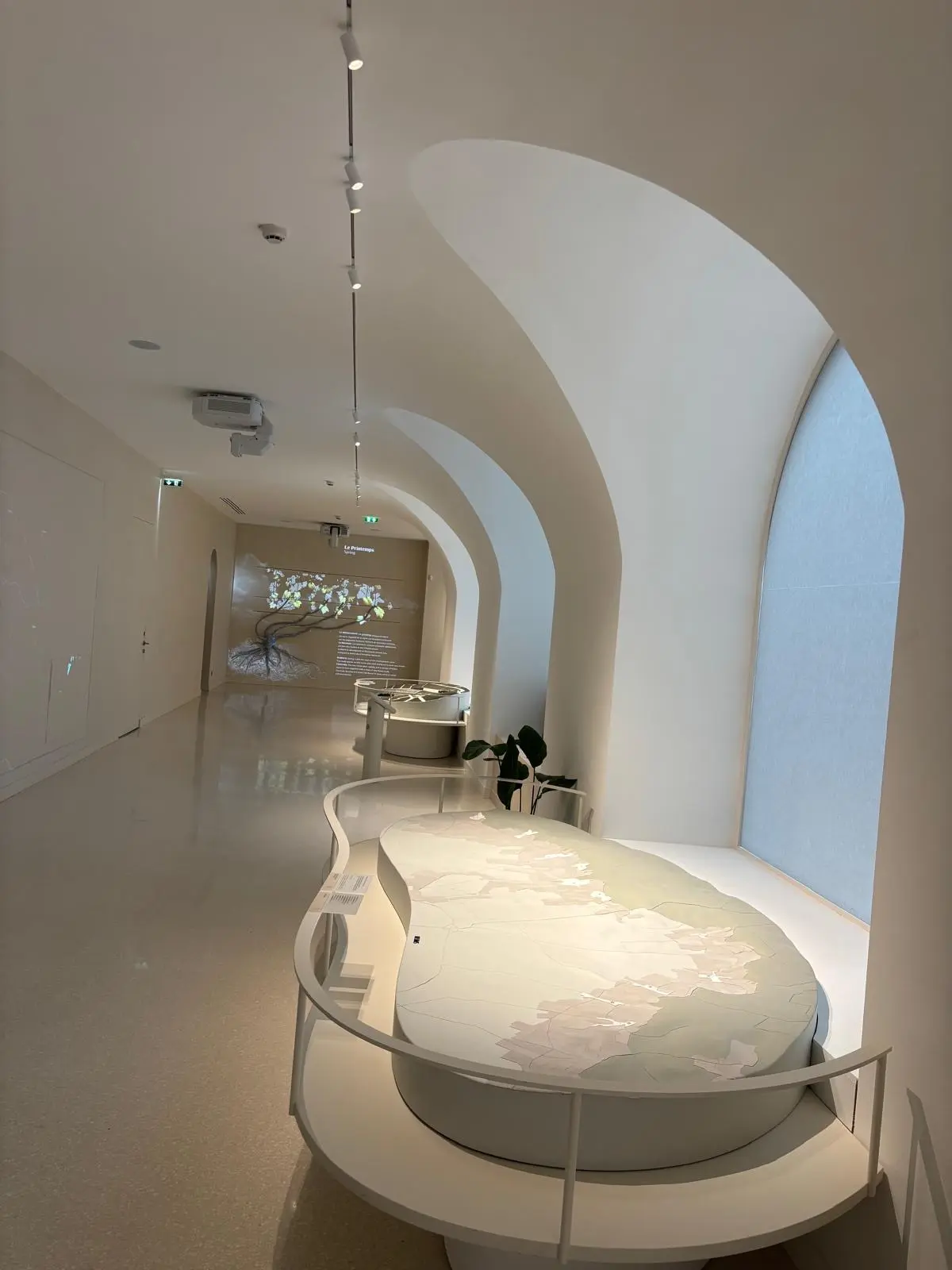 Comptoir courbe sous une arche lumineuse, volume blanc continu